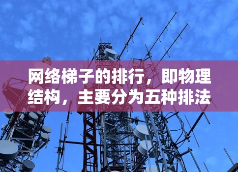 网络梯子的排行,即物理结构,主要分为五种排法,每种排法都有其独特的优点和缺点,具体如下 网络梯子的排行,即物理结构,主要分为五种排法,每种排法都有其独特的优点和缺点,具体如下