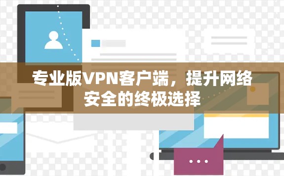 专业版VPN客户端,提升网络安全的终极选择