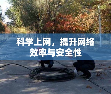 科学上网,提升网络效率与安全性