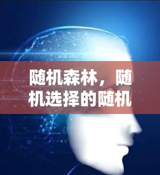 随机森林,随机选择的随机选择