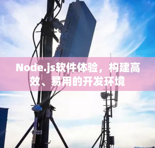 Node.js软件体验，构建高效、易用的开发环境
