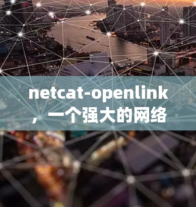 netcat-openlink,一个强大的<strong>网络加速</strong>器推荐