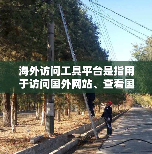 海外访问工具平台是指用于访问国外网站、查看国外资源或进行网络访问的工具。以下是一些常见的海外访问工具平台
