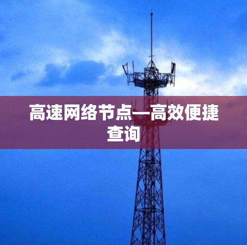 高速网络节点—高效便捷查询