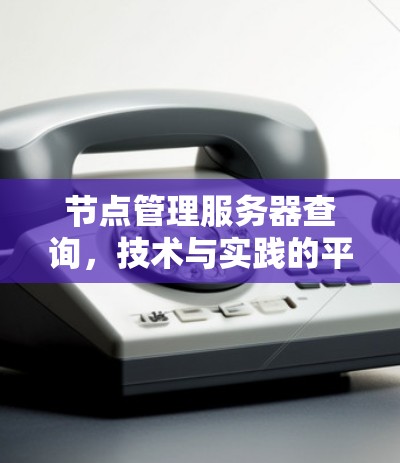 节点管理服务器查询，技术与实践的平衡