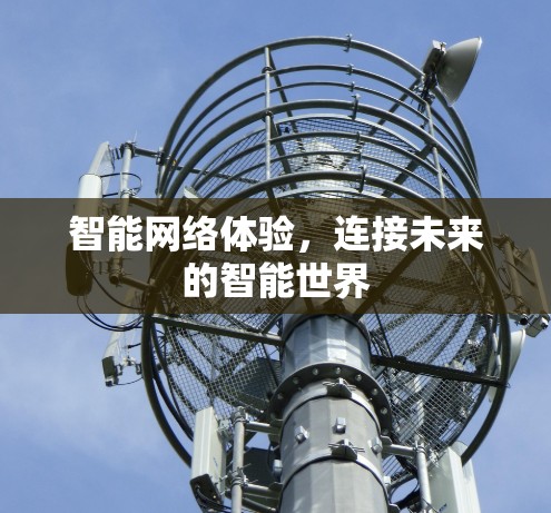 智能网络体验,连接未来的智能世界 智能网络体验,连接未来的智能世界