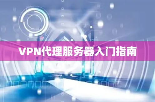 VPN代理服务器入门指南 VPN代理服务器入门指南