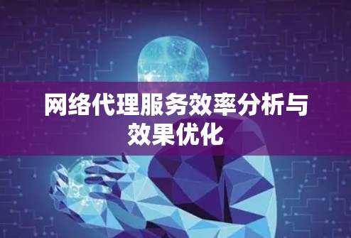 网络代理服务效率分析与效果优化