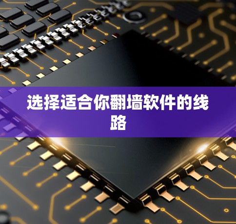 选择适合你翻墙软件的线路 选择适合你翻墙软件的线路