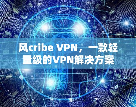 风cribe VPN,一款轻量级的VPN解决方案