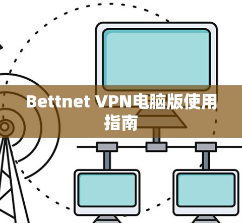 Bettnet VPN电脑版使用指南