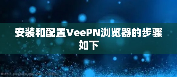 安装和配置VeePN浏览器的步骤如下