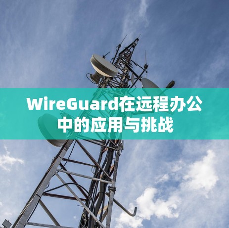 WireGuard在远程办公中的应用与挑战 WireGuard在远程办公中的应用与挑战