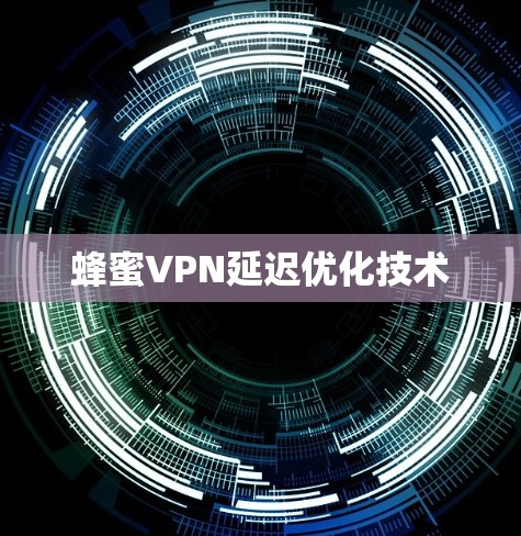 蜂蜜VPN延迟优化技术