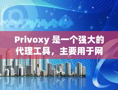 Privoxy 是一个强大的代理工具，主要用于网站生成、内容管理、广告投放、邮件营销和SEO优化。以下是对 Privoxy 软件的更深入的概述和扩展分析