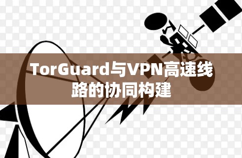 TorGuard与VPN高速线路的协同构建
