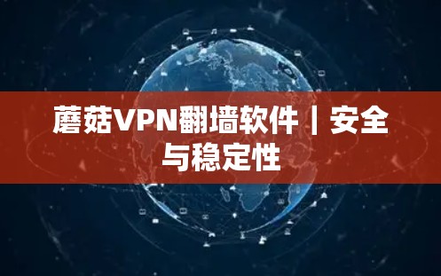蘑菇VPN翻墙软件｜安全与稳定性