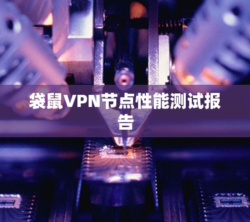 袋鼠VPN节点性能测试报告 袋鼠VPN节点性能测试报告
