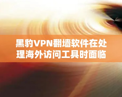 黑豹VPN翻墙软件在处理海外访问工具时面临的问题主要包括以下几点