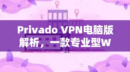 Privado VPN电脑版解析，一款专业型WindowsVPN工具