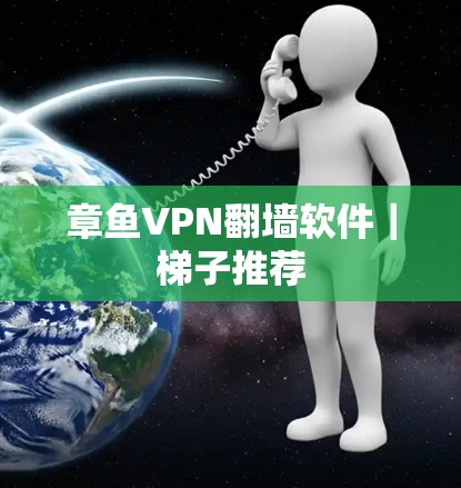 章鱼VPN翻墙软件｜梯子推荐