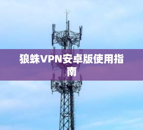 狼蛛VPN安卓版使用指南