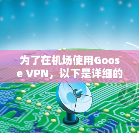 为了在机场使用Goose VPN，以下是详细的步骤指南