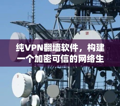 纯VPN翻墙软件,构建一个加密可信的网络生态系统
