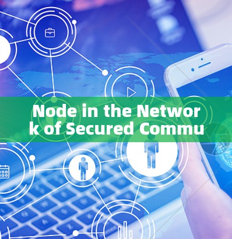 Node in the Network of Secured Communication:The Future of VPN Nodes