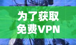 为了获取免费VPN服务，以下是一个清晰的步骤指南