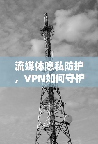 流媒体隐私防护,VPN如何守护你的数据 流媒体隐私防护,VPN如何守护你的数据