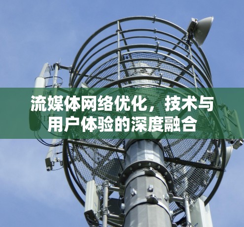 流媒体网络优化,技术与用户体验的深度融合